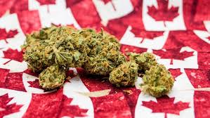 Canada Moves Toward Legalizing Recreational Cannabis